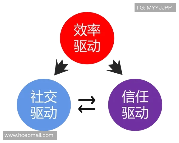 西安排球队灵活性分析与战术调整的深度探讨