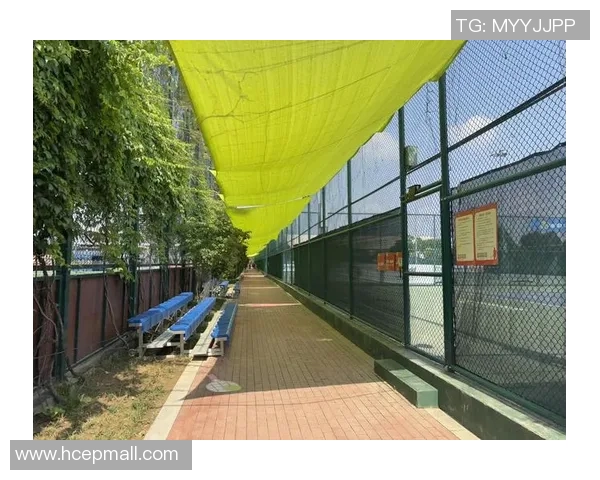 西安网球队在阵地战中的表现分析与反思探讨