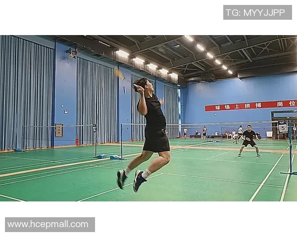 羽毛球场上的拼搏与坚持刘丽的职业生涯回顾与展望